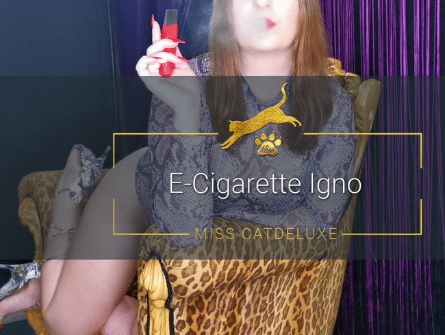 E-Cigarette Igno
